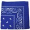 Daydana 96 Pack Cotton Paisley Bandanas 22X22 Inches Multi-Color Wholesale Lot